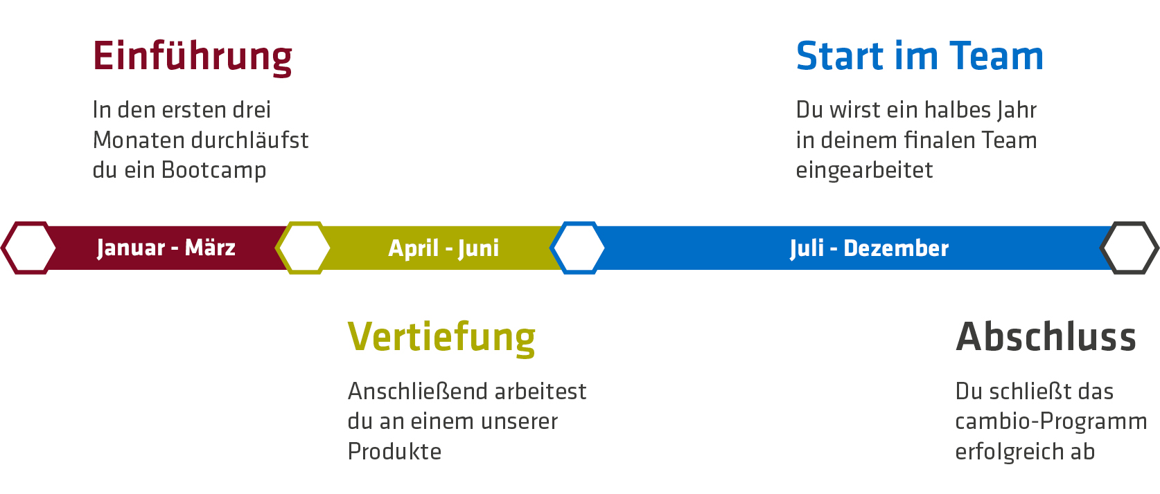 grafik-cambio-januar grafik-cambio-januar